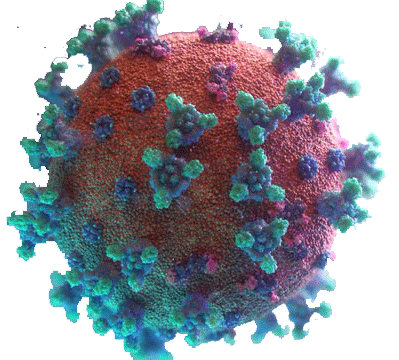 Corona Virus